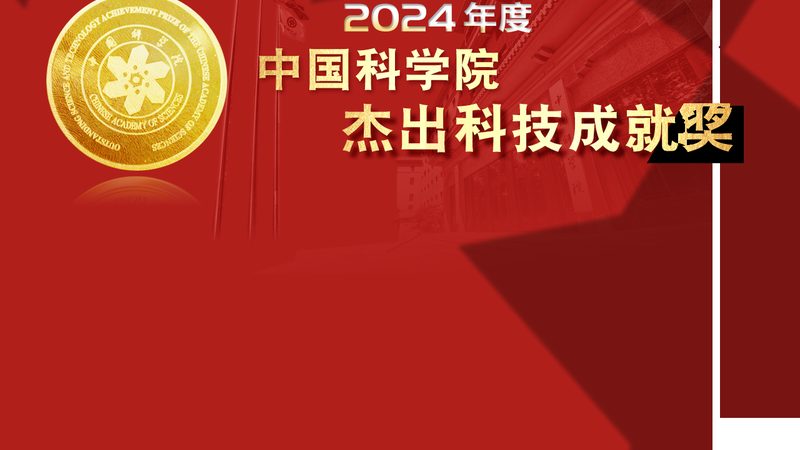 低代码平台实战与传统开发：差距到底在哪
